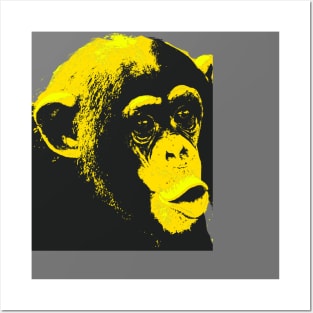 Monkey Posters and Art